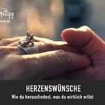 DRACHENSPUREN // HERZENSWÜNSCHE