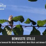 Bewusste Stille // Drachenspuren - Sakira Philipp